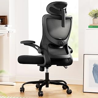 Marsail Ergonomic Office Chair: Office In-Depth Review: The Best Ergonomic Office Chair?